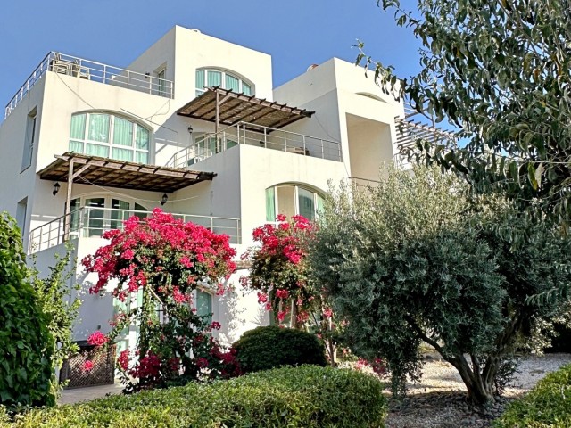 2-room apartment on the floor in the complex "Aphrodite" on the seafront in Gaziveren.