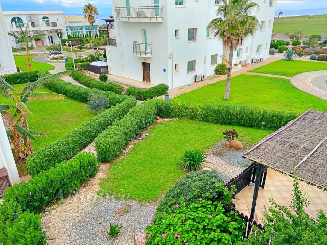 2-room apartment on the floor in the complex "Aphrodite" on the seafront in Gaziveren.