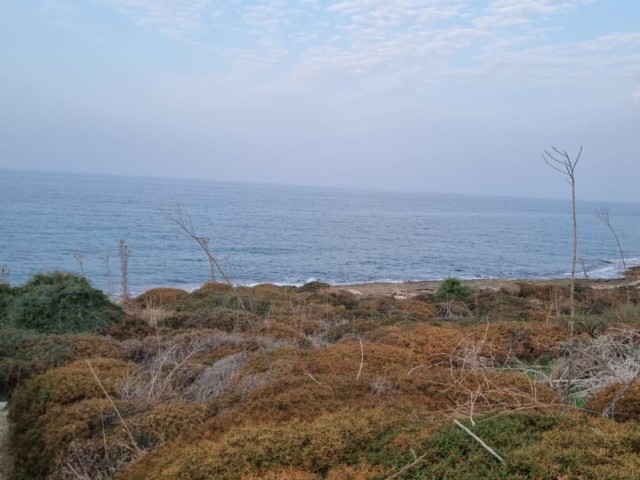 SEAFRONT LAND FOR SALE IN KIRNE KARSIYAKA!!!