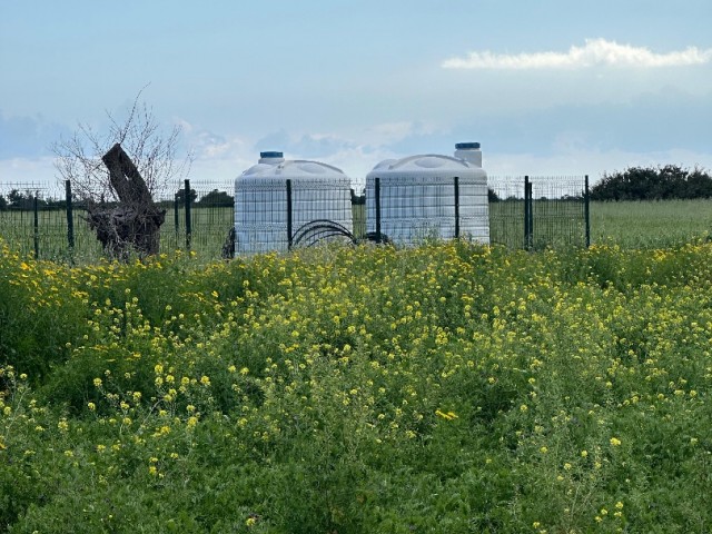 Kumyalı-Küste zum Verkauf mit landwirtschaftlichem Projekt