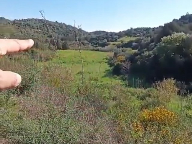 Land for sale between Karpaz, Sipahi- Kaleburnu