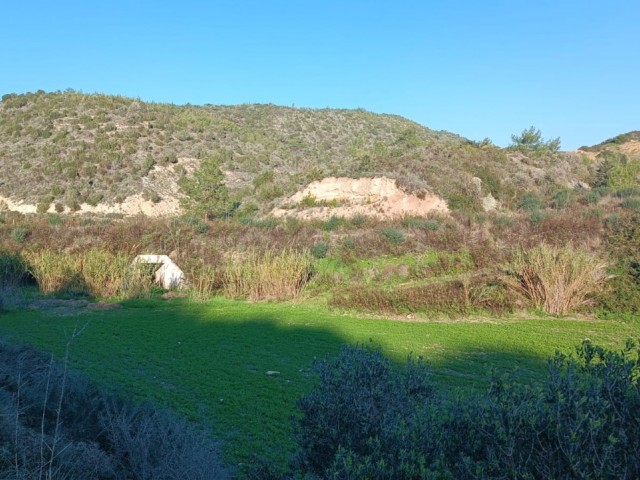 Land for sale between Karpaz, Sipahi- Kaleburnu