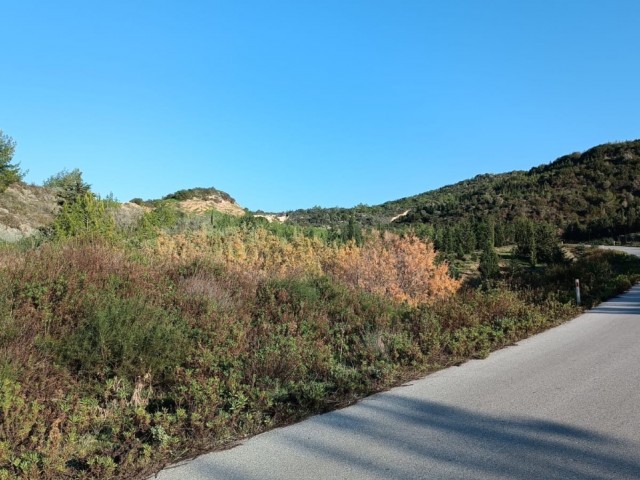 Karpaz, Sipahi- Kaleburnu arası satılık arazi