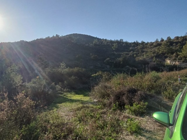 Karpaz, Sipahi- Kaleburnu arası satılık arazi