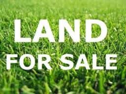 LAND FOR SALE  TALISU  DÖNÜM2 EVLEK...05428893676