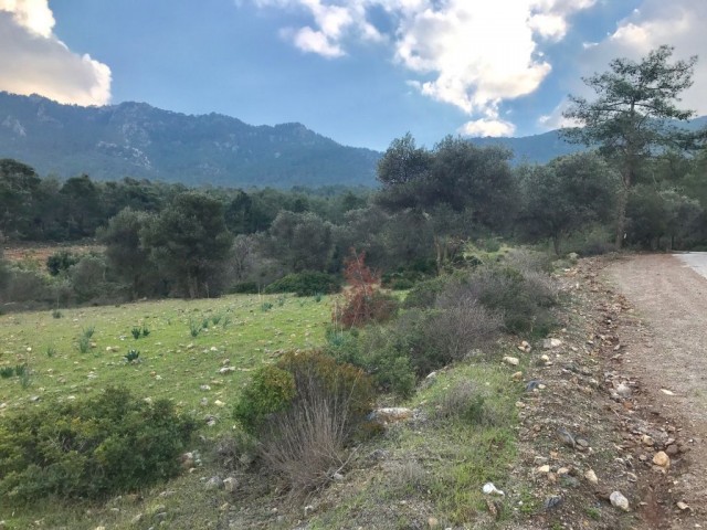 منطقه مسکونی برای فروش in Karaağaç, گیرنه