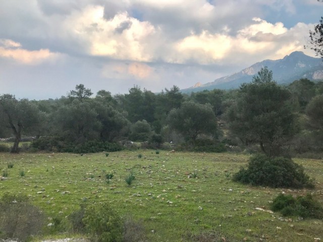 Wohngebiet Kaufen in Karaağaç, Kyrenia