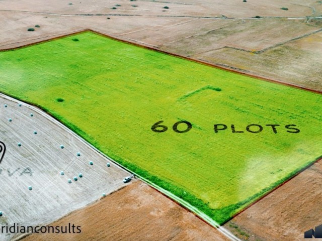 Unveiling an Investment Paradise: 60 Plots of Land in Akova, Famagusta! 🌱