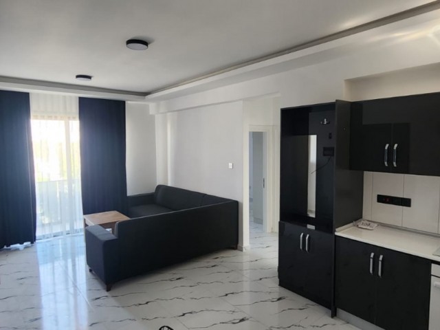 Luxury Fully Furnished 2 1 Flats for Rent Next to the Ministry of Internal Affairs