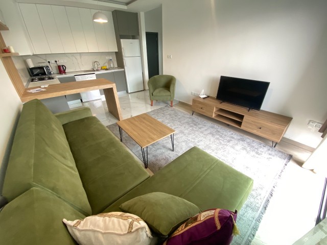 آپارتمان 1+1 کاملا نو برای اجاره با باغ خصوصی در آلسانجاک، گیرنه
