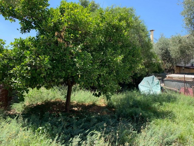 Detached House For Sale in Küçük Kaymaklı, Nicosia