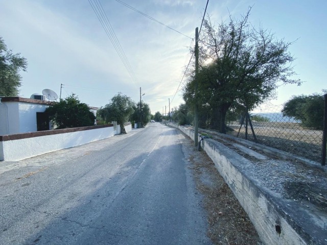 Eben Kaufen in Kozan, Kyrenia