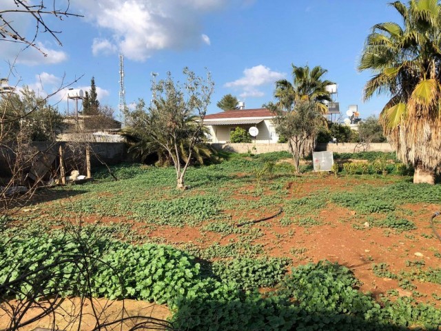 خانه مستقل برای فروش in Paşaköy, فاماگوستا