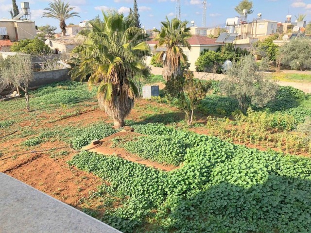 Einfamilienhaus Kaufen in Paşaköy, Famagusta