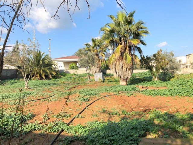 Einfamilienhaus Kaufen in Paşaköy, Famagusta