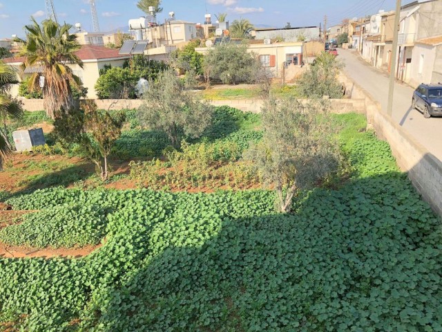 خانه مستقل برای فروش in Paşaköy, فاماگوستا