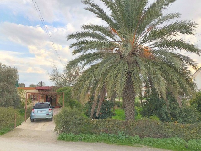 Detached House For Sale in Haspolat, Nicosia