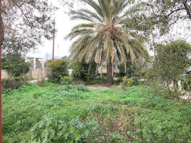 Detached House For Sale in Haspolat, Nicosia