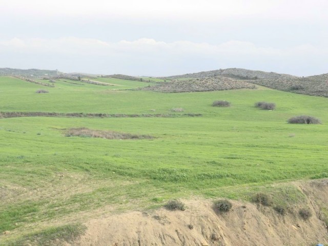 Eben Kaufen in Boğaz, Kyrenia