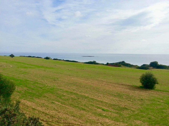 13 HEKTAR TÜRKISCHES COB-LAND ZUM VERKAUF AM MEER IN KALEBURNUNDA PIER ** 