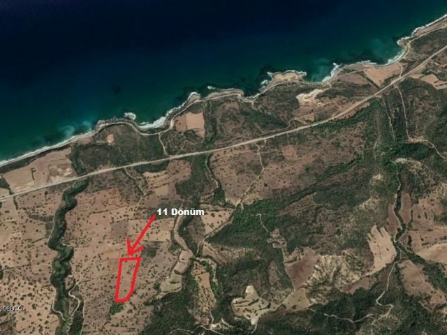 11 ACRES OF FIELD FOR SALE IN MERSIN ** 