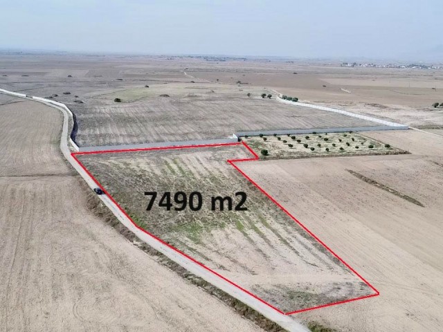 5.5 DECLARATION OF TURKISH KOÇANLI FOR SALE IN GEÇITKALE, SUITABLE FOR APARTMENT SITE OR PLOT CONSTRUCTION