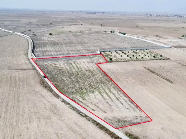 5.5 DECLARATION OF TURKISH KOÇANLI FOR SALE IN GEÇITKALE, SUITABLE FOR APARTMENT SITE OR PLOT CONSTRUCTION