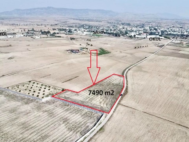 5.5 DECLARATION OF TURKISH KOÇANLI FOR SALE IN GEÇITKALE, SUITABLE FOR APARTMENT SITE OR PLOT CONSTRUCTION