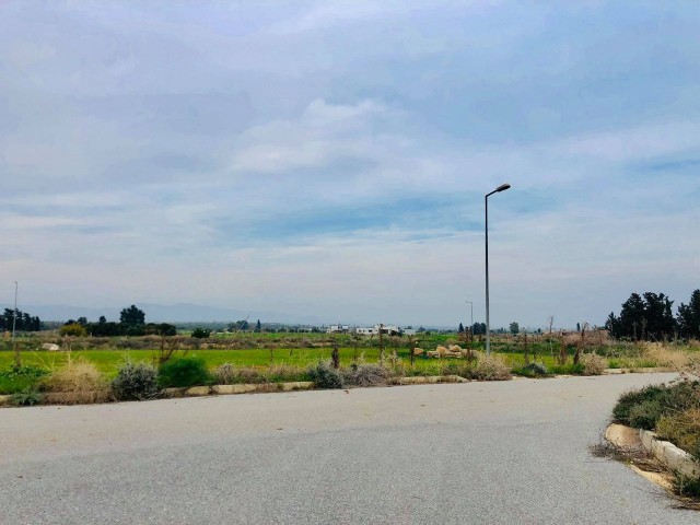 TÜRKISCHES KOÇANLI-GRUNDSTÜCK ZUM VERKAUF IN KUZUCUK, GEEIGNET FÜR DEN BAU EINER VILLA MIT GROSSEM GARTEN