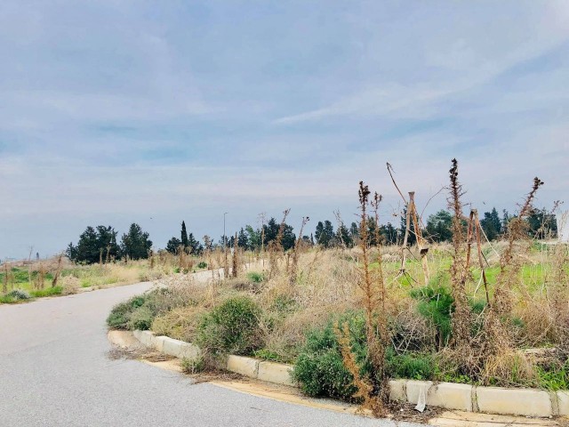 TÜRKISCHES KOÇANLI-GRUNDSTÜCK ZUM VERKAUF IN KUZUCUK, GEEIGNET FÜR DEN BAU EINER VILLA MIT GROSSEM GARTEN