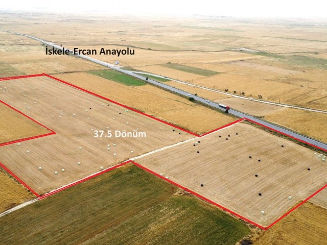 Field For Sale in Geçitkale, Famagusta