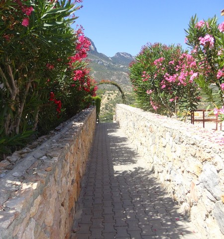 Eben Kaufen in Arapköy, Kyrenia