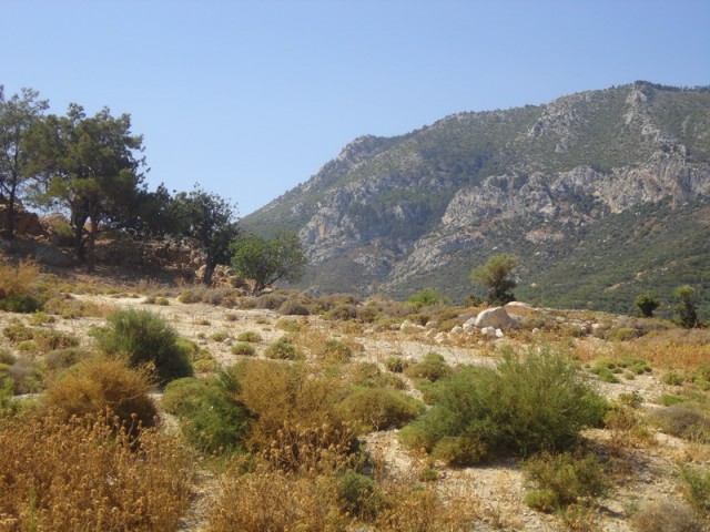 Eben Kaufen in Arapköy, Kyrenia