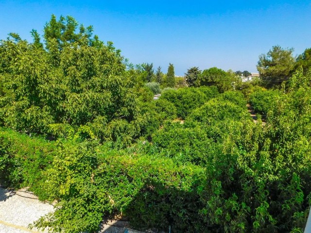 3-bedroom villa with swimming pool + Landscaped garden + mountain and sea views for sale in Alsancak Kocan is named after its owner. K.D.V Has Been Paid ** 