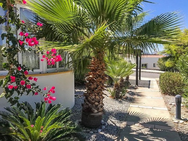 Bungalow Kaufen in Esentepe, Kyrenia