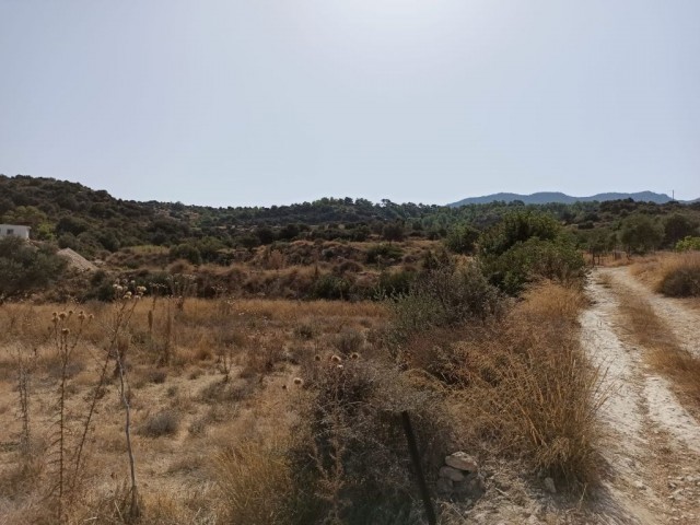 Land for Sale in Esentepe Dec ** 