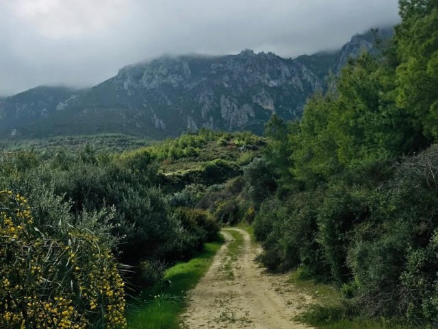 ویلا برای اجاره in Edremit, گیرنه