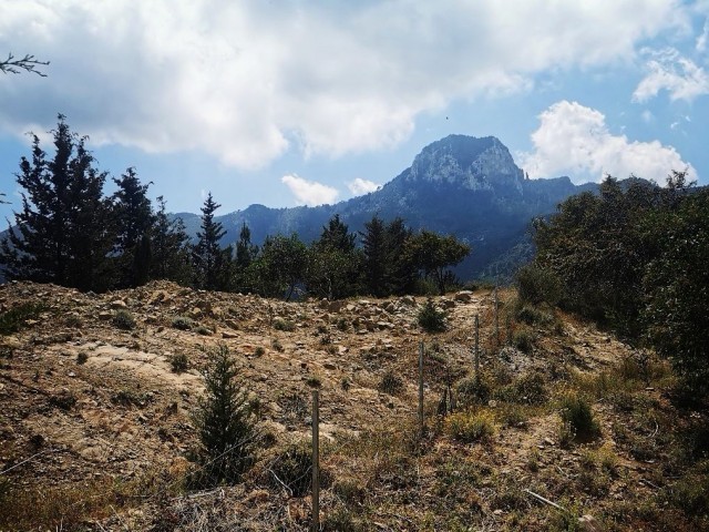 Büyük Fırsat - İnanılmaz Panoramik Deniz + Dağ Manzaralı + Ortak Havuzlu 2 Yatak Odalı Zemin Kat Daire - Kaçırmayın!