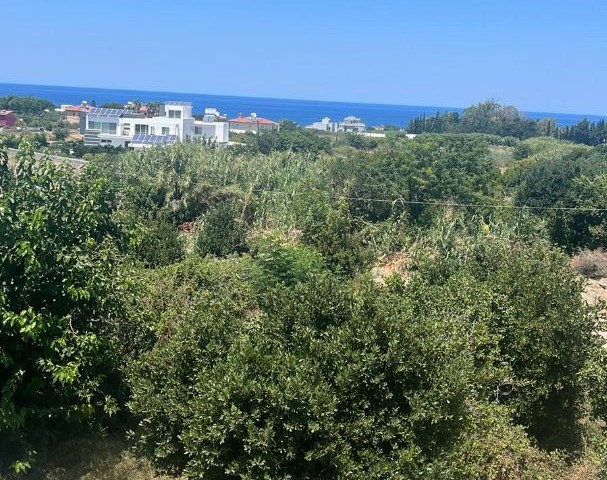 Brand new 2 bedroom apartment with beautiful sea and mountain views in Lapta