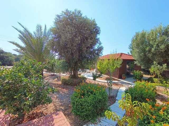 4 bedroom refurbished bungalow + 12m2 x 6m2 swimming pool + roof terrace + large plots size of 5,781m2 + 25m2 yoga room + Photovoltaic solar system + privacy + sea and mountain views + Title deed in the owner’s name, VAT paid