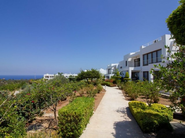 Luxury 2 bedroom Penthouse with a roof terrace + fully furnished + communal pools + gym + sauna + new A/C units + stunning views to the sea + Title deed on owner’s name, VAT paid