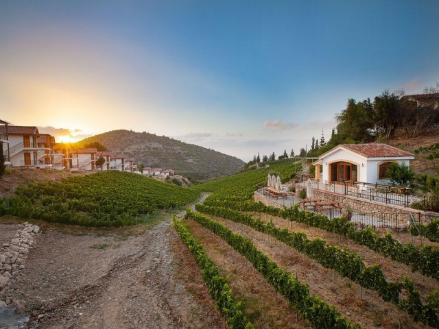 bedroom modern apartment + part of an award winning boutique hotel and wine farm + communal swimming pool + gym + cafe + sauna + children’s playground + beautiful sea and mountains views + payment plan