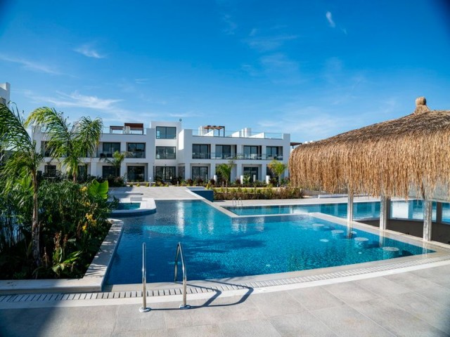 Studio Penthouse Apartment (Only 1 Left) + Beach Front Location + Olympic Size Triple Swimming Pool + Bio Farm + Indoor Heated Pool + Lots Of Onsite Facilities