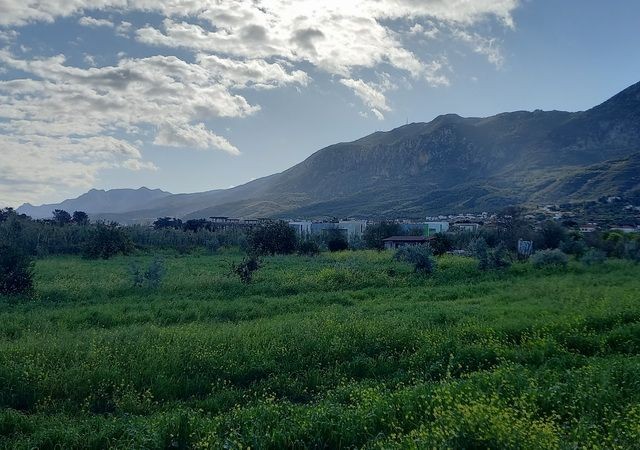 4 yatak odalı villalar + yüzme havuzları + olanaklara yakın + ödeme planı