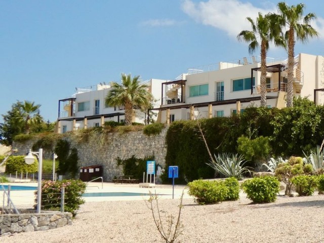 Stunning resale 3 bedroom penthouse apartment + Olympic sized communal pool + fully furnished + white goods + roof terrace + sea and mountain views