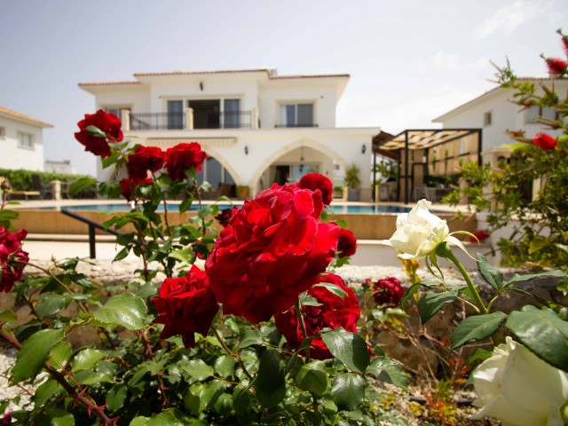 Роскошная вилла 4+1 с бассейном и большим садом на берегу моря в Эсентепе