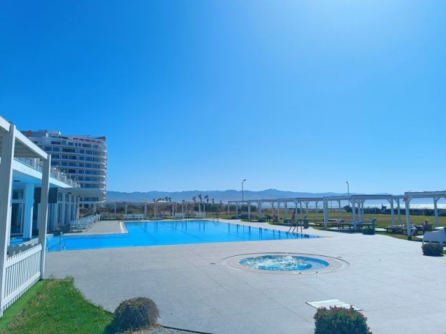 Pre-74 Turkish title deeds! 1 bedroom apartment on the 8th floor + seafront + fully furnished