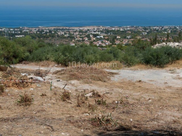 فروش زمین با سند خارجی قبل از سال 1353