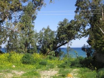 Villa For Sale in Lapta, Kyrenia