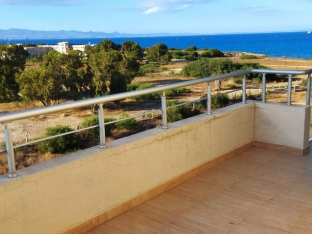 Famagusta gulseren area sea view penthause for sale 3+1 